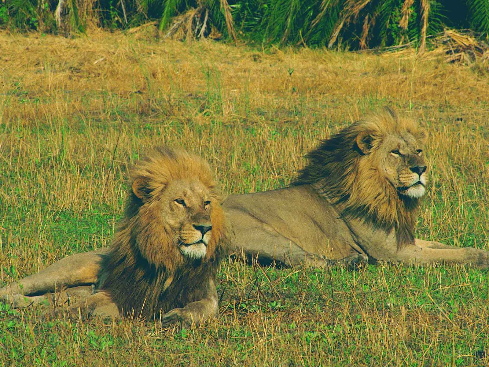 Katavi National Park