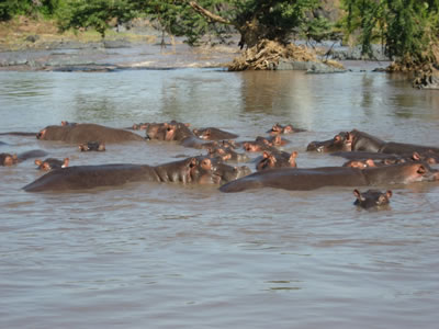 11 Days / 10 Nights Deluxe Family Safari></a>
						</div>
						<div class=