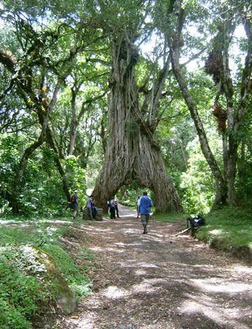 6 Days / 5 Nights mount Meru></a>
						</div>
						<div class=